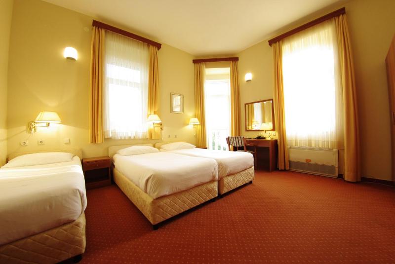 Hotel Vila Ružica- glavna zgrada i depandanse - image 34