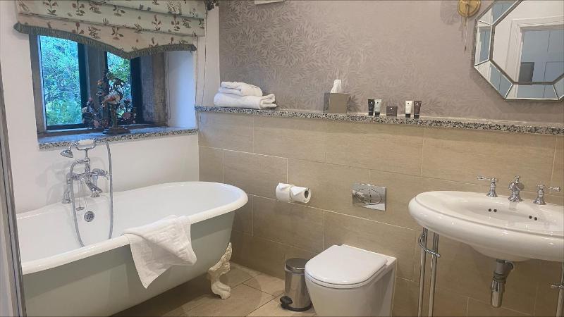 Double or Twin Room image 4