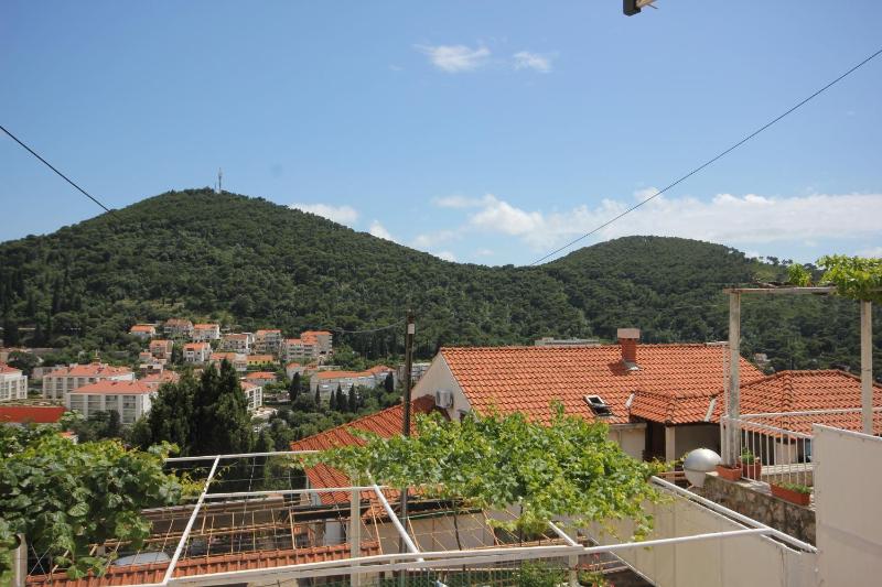 One-Bedroom Apartment with Terrace image 2