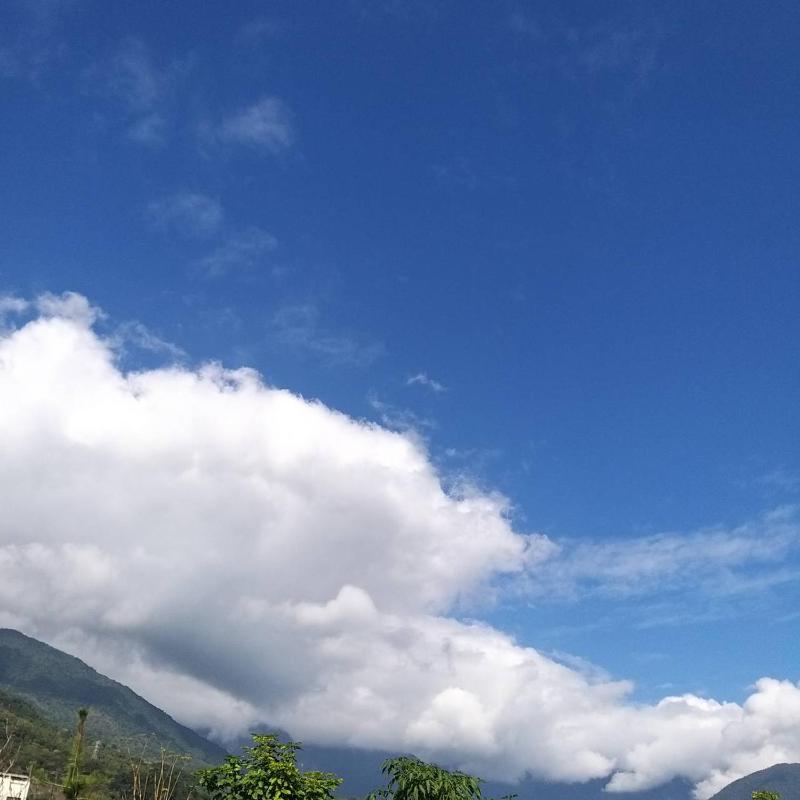 Futian B&B - image 36