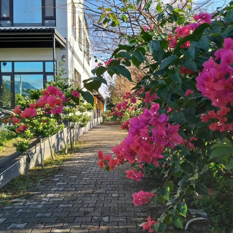 Futian B&B - image 26