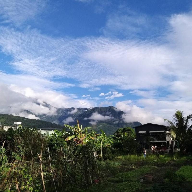 Futian B&B - image 17