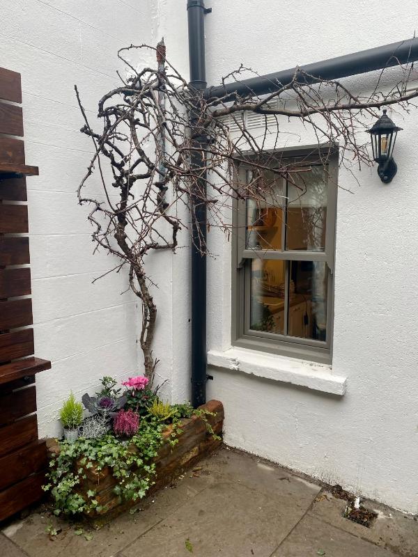 Number 31 Boutique Townhouse - image 15