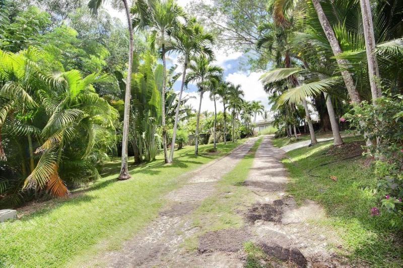 Coconut Bay - image 14