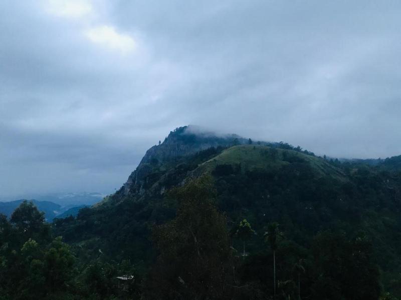 Minthu Homestay - image 21