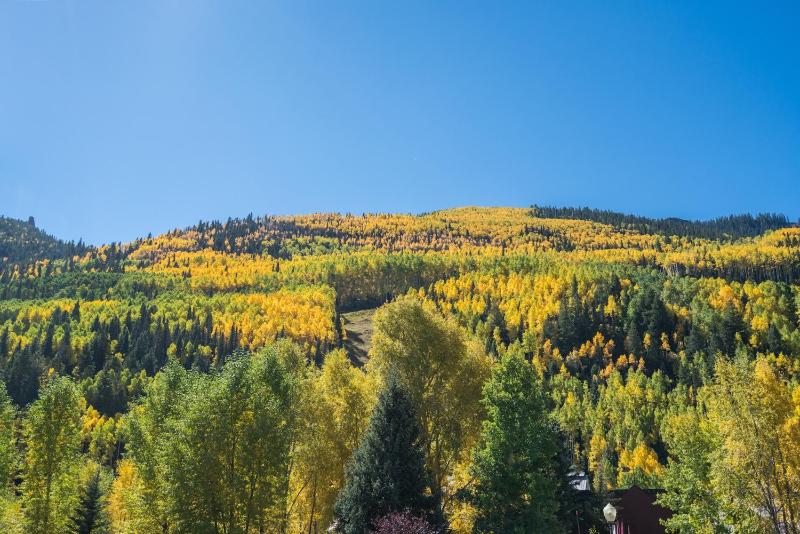 Telluride Lodge 526 - A True Mountain Retreat In Beautiful Telluride Town condo - image 12