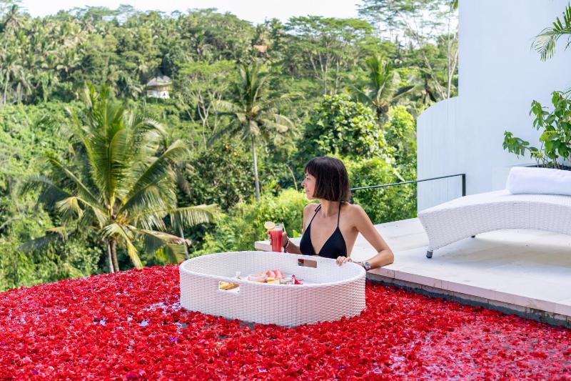Villa Amorgos II Ubud - image 11