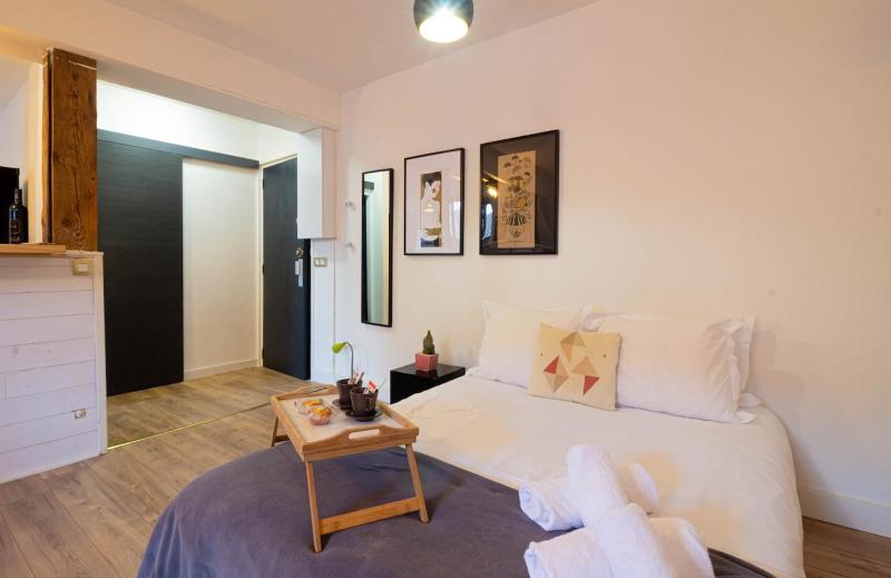 Petit chez-vous rue Vaugelas - image 14