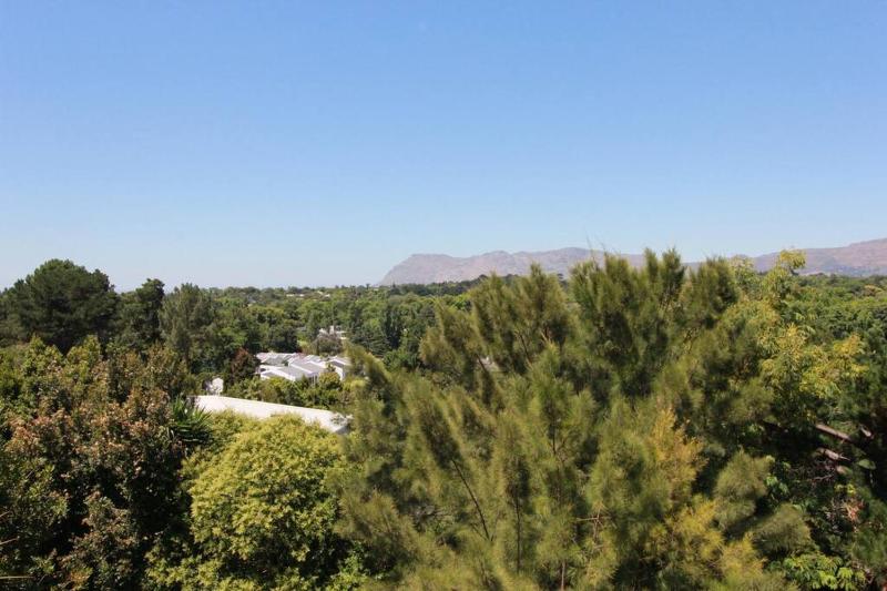 Alphen Drive Apartments - image 11