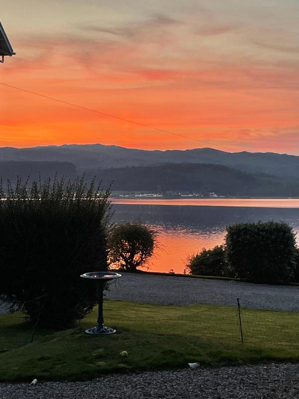 Deluxe King Room image 2