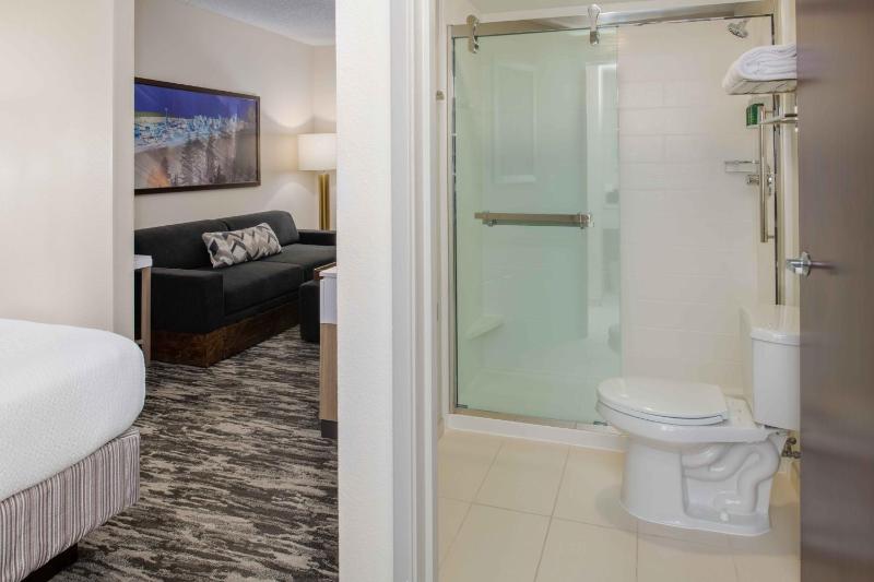 King Suite with Sofa Bed image 3