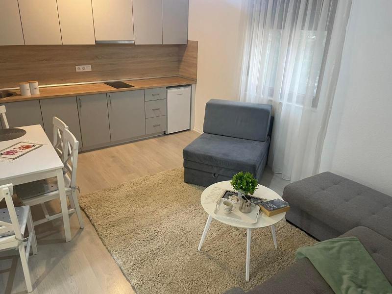 One-Bedroom Apartment image 4
