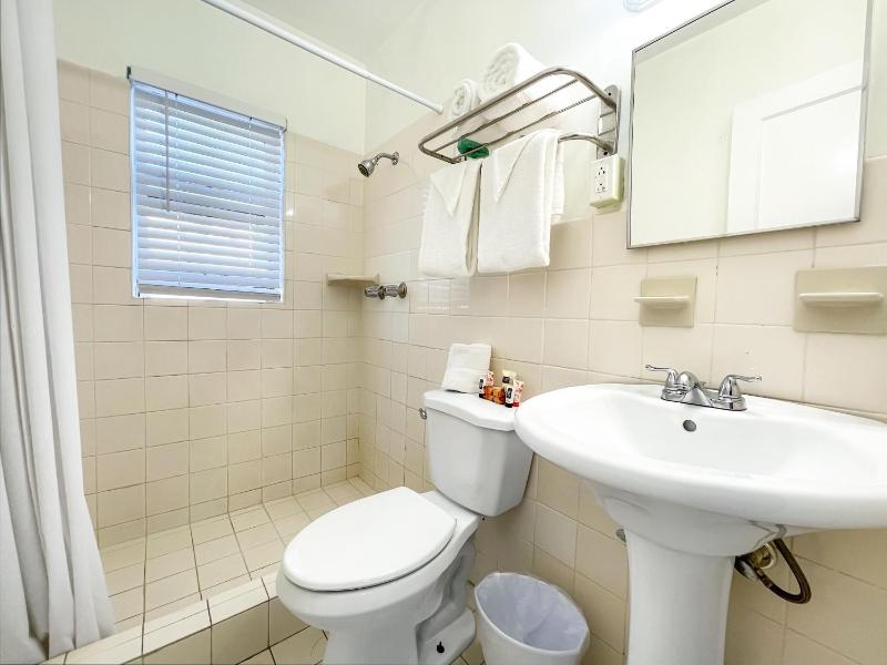 Deluxe Queen Suite image 4