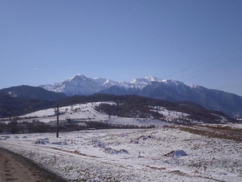 Pensiunea Rasnov - image 12