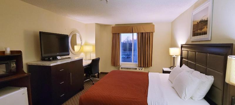 King Room image 4