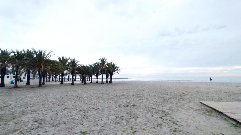 Apartamentos Tamarindo Santa Pola - image 17