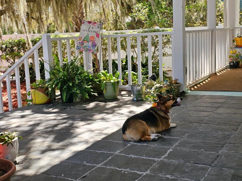 Tybee Island Inn Bed & Breakfast - image 23