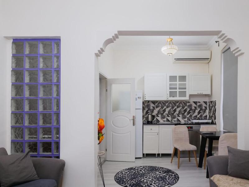 One-Bedroom Apartment image 4