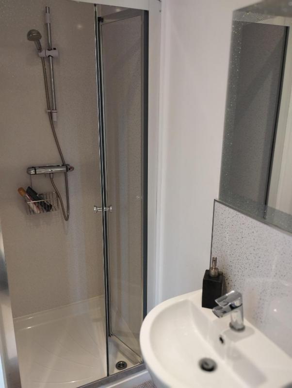 Family Room with Shower image 3