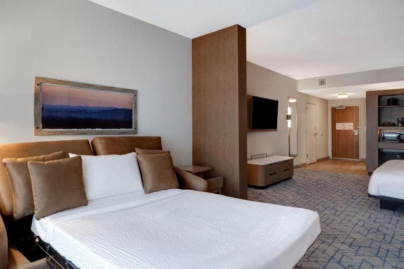 Fairfield Inn & Suites by Marriott Minneapolis Downtown - image 37
