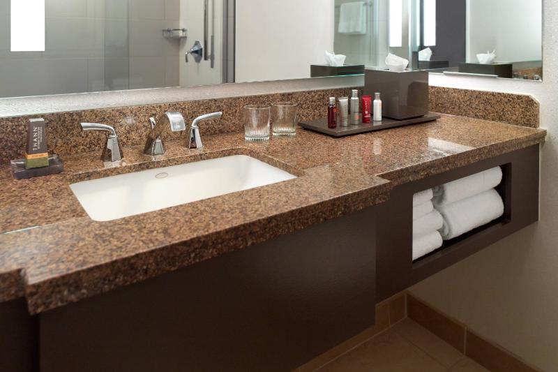 King Studio Suite image 3