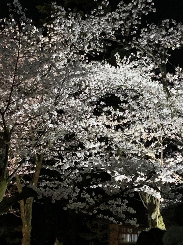 Hotel Hana Ichirin - image 16