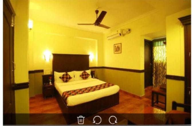 Deluxe Double Room image 1