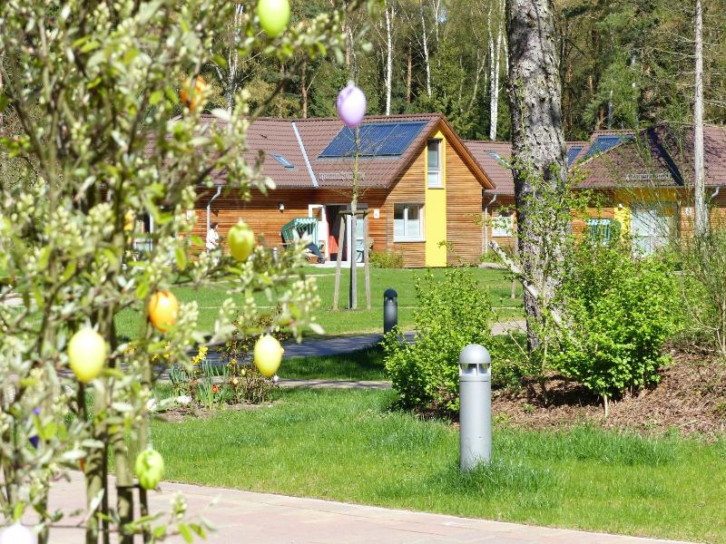 Ferienzentrum Trassenmoor - image 17