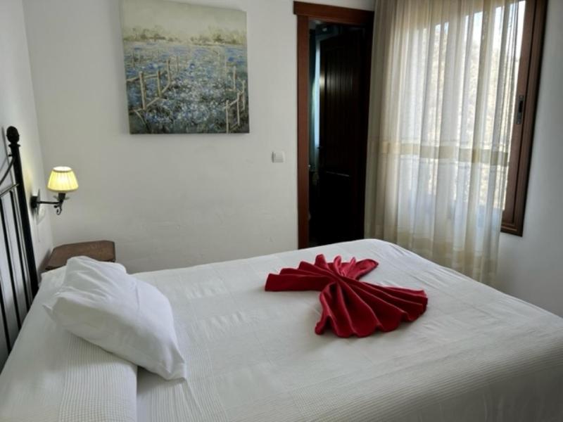 Single Room image 1