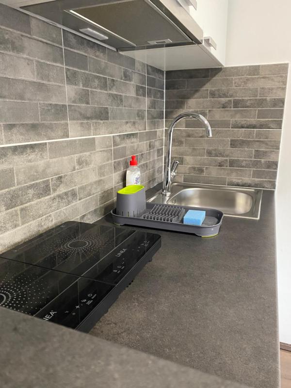 One-Bedroom Apartment image 3