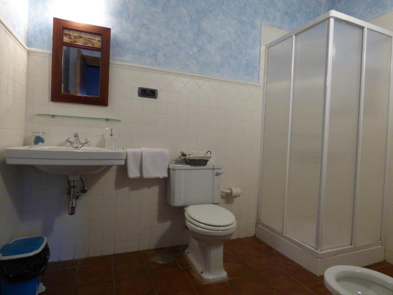 One-Bedroom Apartment image 2