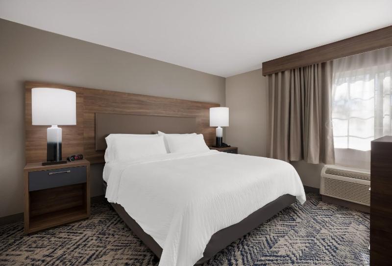 King Studio Suite image 2