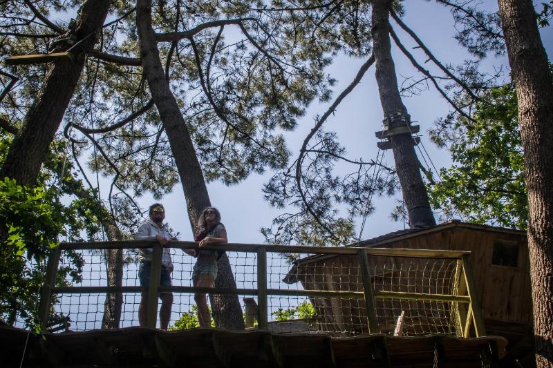Tree House image 2