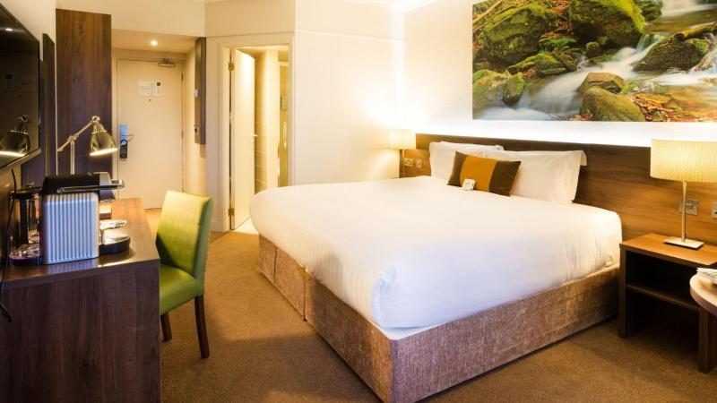 King Room image 2