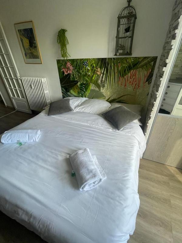 Studio Bel Air FSHH - image 3