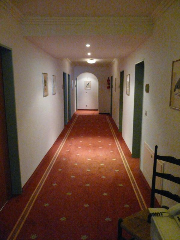 Hotel Roter Hahn - Bed & Breakfast - image 21