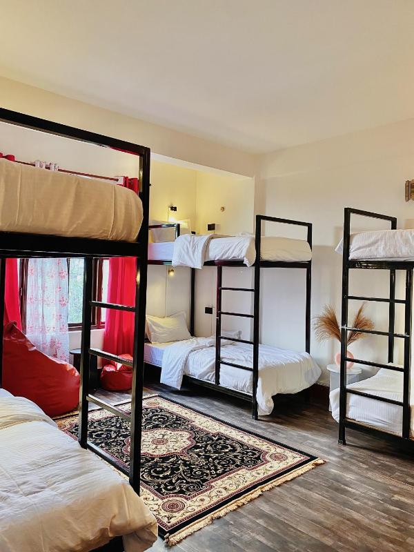 Tashila Hostel - image 42