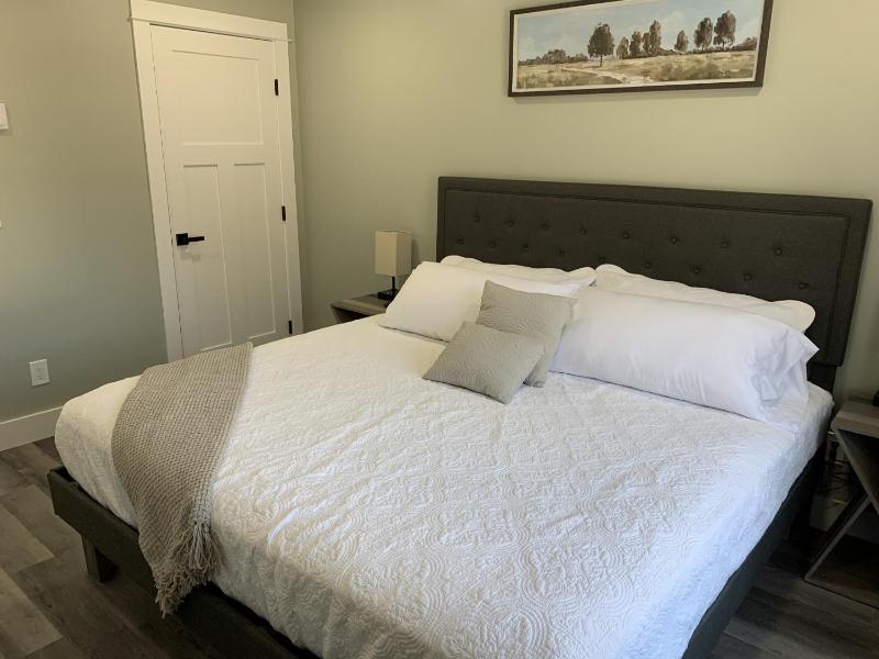 One-Bedroom Apartment image 3