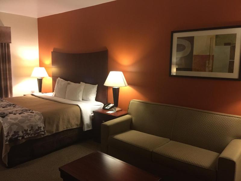 King Suite - Non-Smoking image 2
