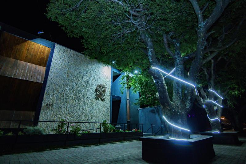 Hotel Cumbres del Sur - image 31