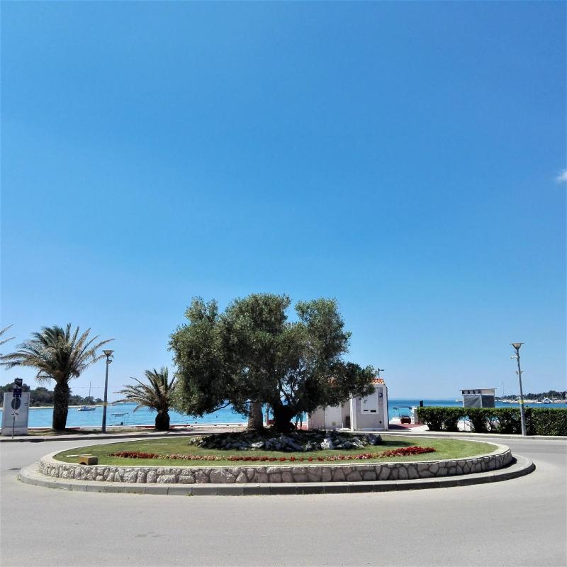Vila Paula - image 23