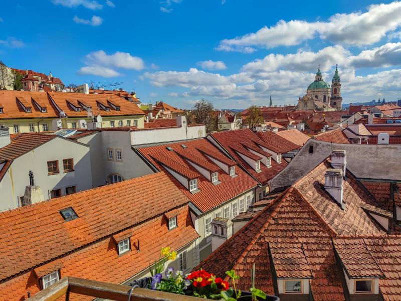 Superior Top View image 4