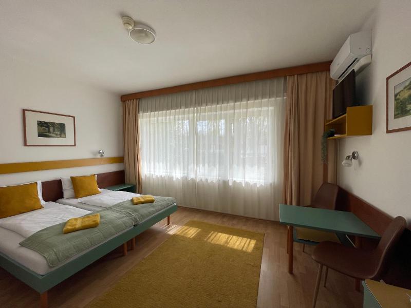 Superior Large Twin Room image 4
