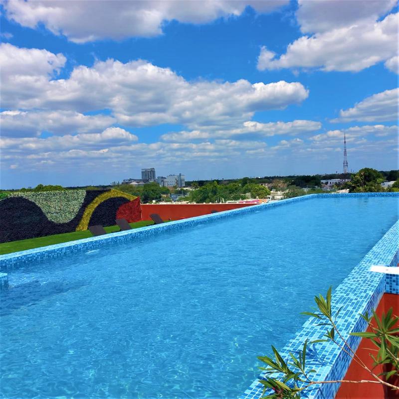 Hotel Kavia Premium - Paseo Montejo - image 14
