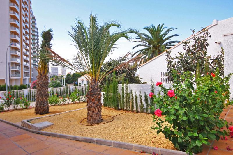 Villa Calalga - PlusHolidays - image 15