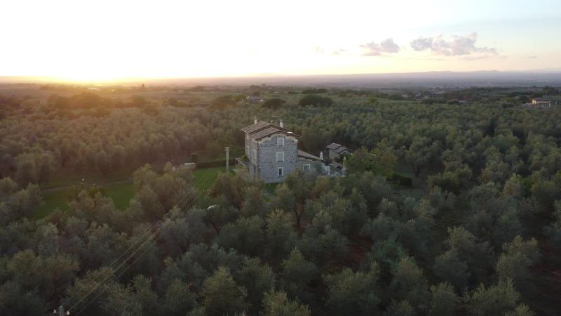 Superior Villa image 1