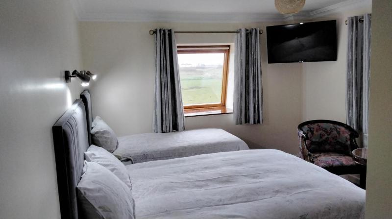 Deluxe Twin Room image 3