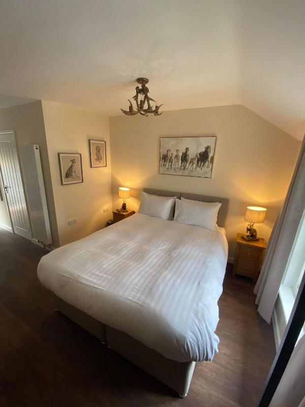 Superior King Room image 2