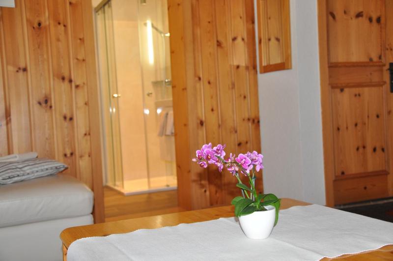 One-Bedroom Apartment with Terrace image 2