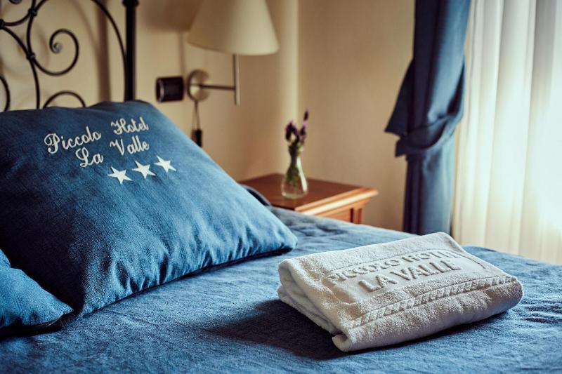 Double or Twin Room image 1